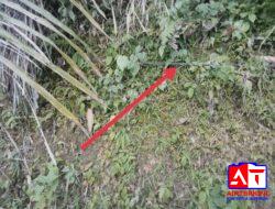 Warga Keluhkan Kabel PLN Dibiarkan Menyentuh Tanah Bertahun-tahun