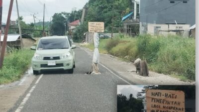 Jalan Aspal Rusak Tak Kunjung Diperbaiki, Pemda Toraja Utara: Itu Jalan Provinsi