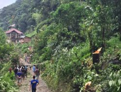 Masyarakat Mulai Ramai Tebang Pohon yang Potensi Membahayakan Orang Lain