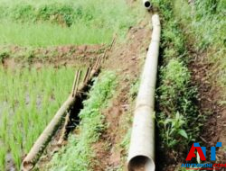 Kisruh Program Pertanian Toraja, Baru Polres Torut yang Tuntaskan Penyidikan, Kejaksaan dan KPK Masih Tanda Tanya